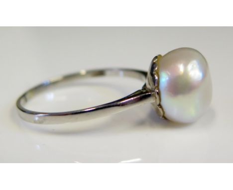 A Large Solitaire Pearl Ring in a heavy precious white metal setting, 11.5mm pearl, size U.5, 4.4g 