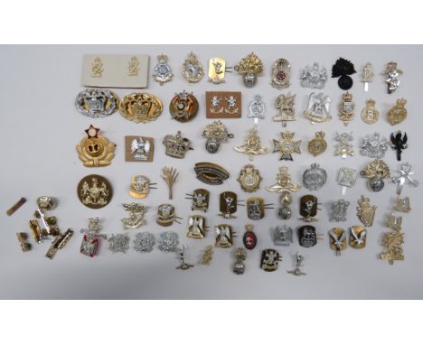Selection of Anodised Cap &amp; Collar Badges cap badges include 3rd Carabiniers ... QC Royal Tank Reg ... QC 13/18 Royal Hus