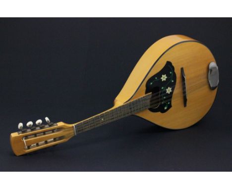 A Celtic mandolin in a soft leather case