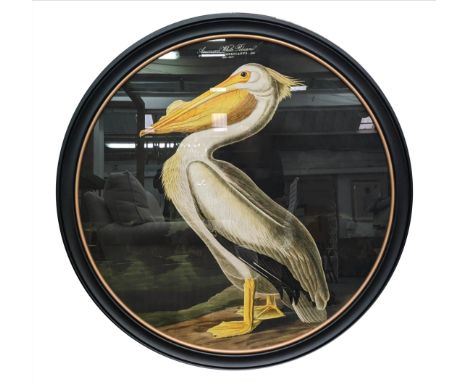 AFTER JOHN JAMES AUDOBON, 'American White Pelican' lithograph, 105cm diam. 