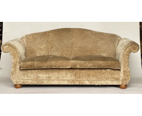 SOFA, champagne velvet chenille upholstered with arched back, scroll  arms and feather pads, 222cm W. 