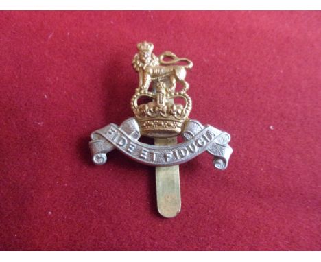 Royal Army Pay Corps EIIR Beret Badge (Bi-metal), slider and made Buttons Ltd, Birmingham. K&amp;K: 2138