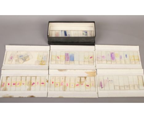 A box of vintage microscope slides.