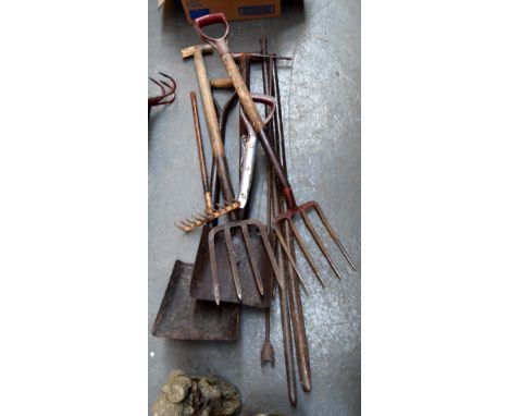 A lot of wooden handled garden tools to include two forks and two shovels