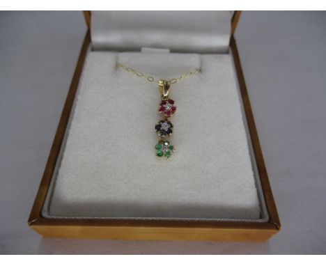 10ct Gold Ruby, Sapphire, Emerald and Diamond Pendant with 9ct Gold Chain 