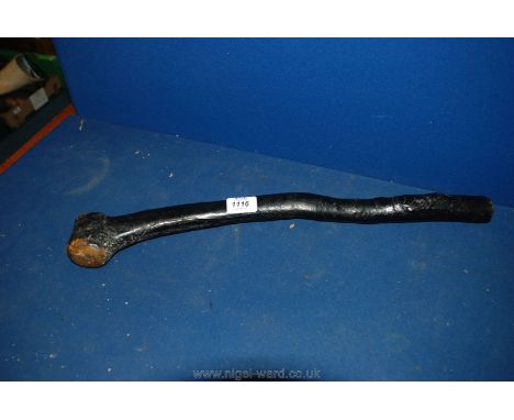 A vintage Shillelagh Blackthorn Club