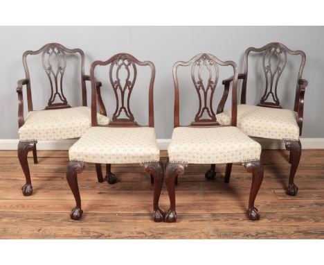 A set of eight Victorian Chippendale style dining chairs, including two carvers. Feature pierced splat and carved front feet 