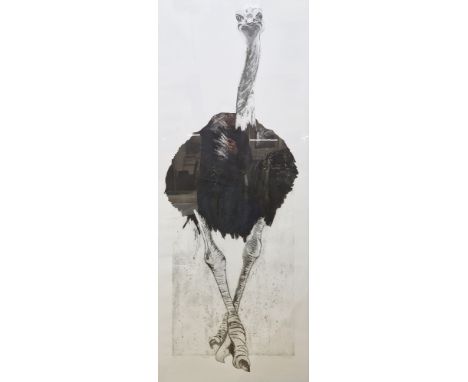 Sue Brown
Black and white colour print
&ldquo;Heads Up!&rdquo;, study of an ostrich, signed in pencil and dated 1/5, 156cm x 