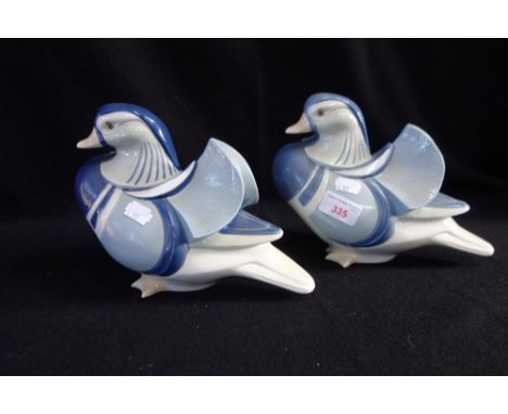 A NAO STUDY OF A DUCK and another similar (2)