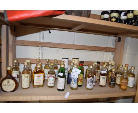 A collection of miniature bottles of Scotch Whisky and others to include Glen Grant, Queens View, Dalmore, Deanston Malt, Gle