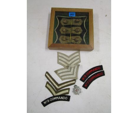 A pair of Royal Navy cloth tunic button plaques with six buttons, glazed in a show frame, and a selection of cloth badges and