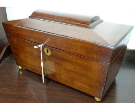 Mahogany Sarcophagus lid tea caddy  