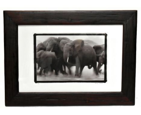 MARTYN COLBECK; photo lithograph, elephants, 1/50, signed, 35 x 52cm, framed with artist's biographical detail verso. (D)Addi