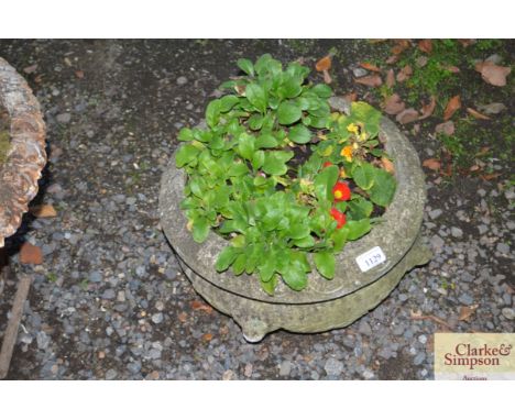 A concrete planter and contents