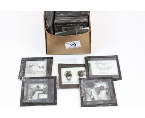Box of Magic Lantern Slides mostly of Agriculture and Livestock