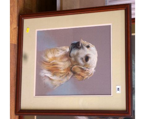 PASTEL PORTRAIT OF A GOLDEN RETREIVER BY ROGER INMAN ’89  16.5” X 13.75”