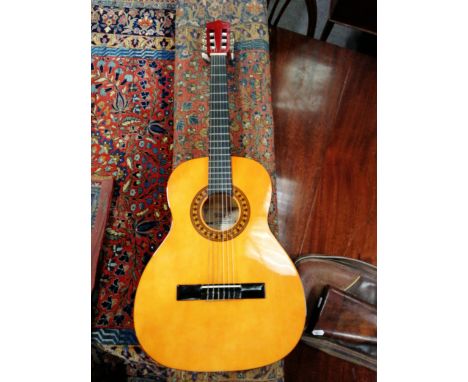 AA Stagg classical guitar with fabric case.