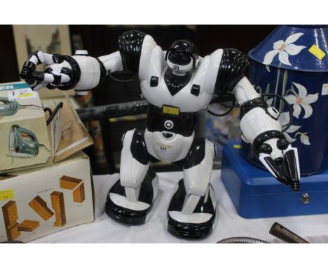 Robot