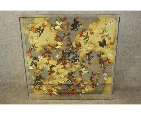Nick Jeffrey, 'Thermal Heights V', installation art, mounted butterflies in perspex case with mirror backing, 2010. H.100 W10