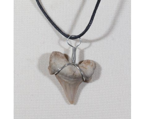 Otodus shark tooth fossil necklace