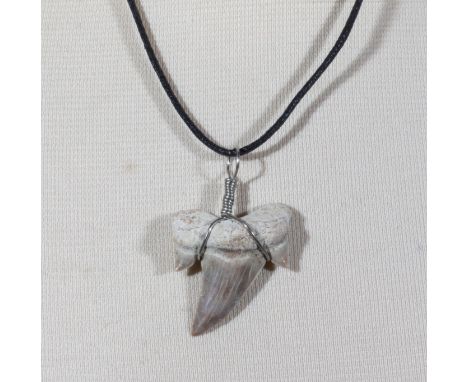 Otodus shark tooth fossil necklace