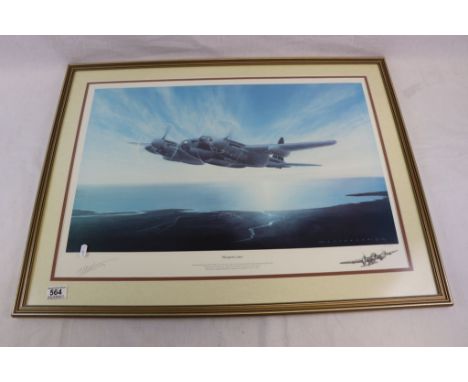 A Limited Edition Framed And Glazed Print Of A Mosquito Entitled Mosquito Coast By M A Kinnear Numbered 191 Of 500. Measures 