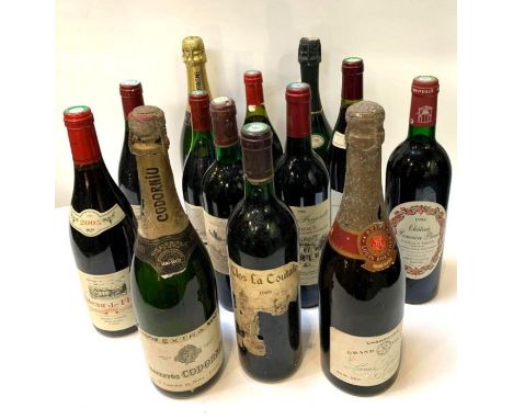 Nine bottles of vintage and other red wine and some champagne 