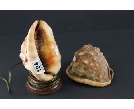 Conch Shell Lamp carved with Cherubs in and around a Tree together with a plain Conch Shell