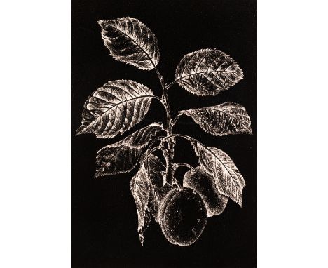 Monica Poole, British 1921-2003,Hyacinth; Foxglove; and two other works; two woodcut engravings on wove, each signed and insc