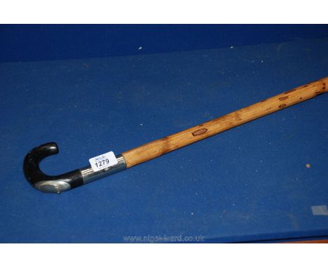 A Horse Measure walking Stick