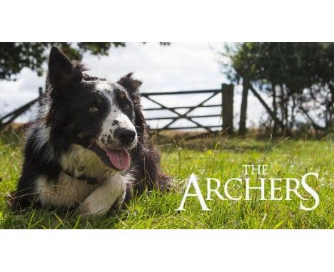 Leaf through events in Ambridge with your own copy of a script from the world’s longest running soap, The Archers. Signed by 