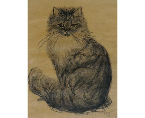 H Poot - portrait of a cat, pencil, signed and dated '57, 26cm x 20cm, framed