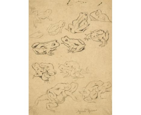 1839 Bernau - 1924 Karlsruhe. Bleistiftskizze. Froschstudien. U.r. mit Bleistift sign. 24 x 18  cm. Pass. R.  Lit.: 1,2,5,11,