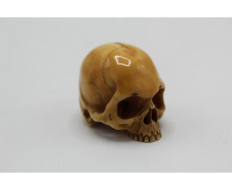 An 18th/19th century Japanese ivory netsuke of a skull by Shosai, signed, 2.7cm high 