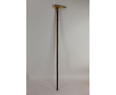 A late 19th/early 20th century walking stick having a walrus tusk handle with a gold plated tip and a yellow metal engraved c