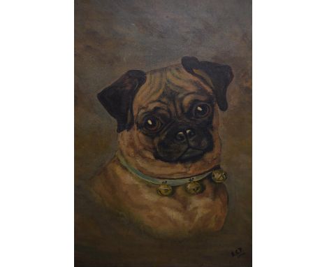 Oil on canvas, portrait of a pug dog wearing a bell collar, signed with initials A.G.P. 15ins x 11ins, gilt framedHas been re