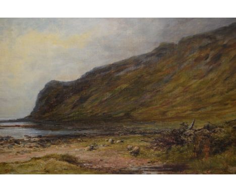 Pollok S. Nisbet, signed oil on canvas laid onto panel, sheep in a coastal landscape, inscribed verso 'Bennan Head, Arran', 1