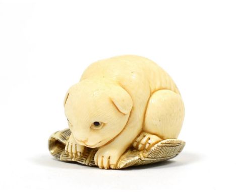A Japanese Ivory Netsuke, Meiji period, carved as a puppy on a mat, signed Shou, 3.5cm wide 