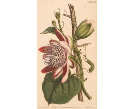 Curtis (William). Lectures on Botany, as Delivered to his Pupils, Arranged by Samuel Curtis, Florist, Walworth, 3 volumes, 1s