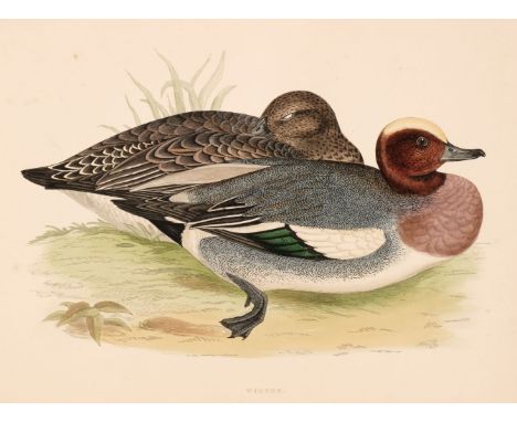 Morris (Beverly R.). British Game Birds and Wildfowl, 1st edition, London: Groombridge &amp; Sons, 1855, 60 hand-coloured pla