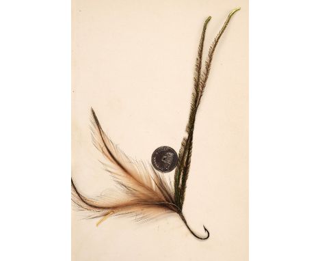 Blacker (William). W. Blacker's Catechism of Fly Making, Angling and Dyeing, London: Published by the author, Dec. 8, 1843, 1