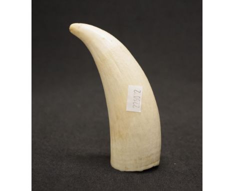 Antique whale tooth approx 13cm, NOTE: Export of this item is not permitted.