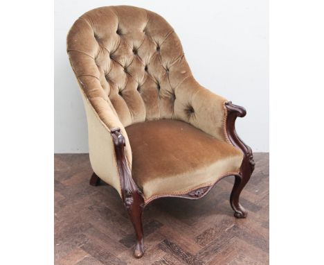 Victorian walnut framed gold upholstered button back elbow chair on cabriole legs 