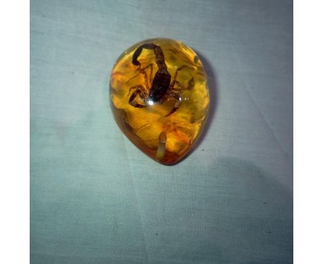 Desert scorpion preserved in amber tree resin. UK P&amp;P Group 1 (£16+VAT for the first lot and £2+VAT for subsequent lots)&