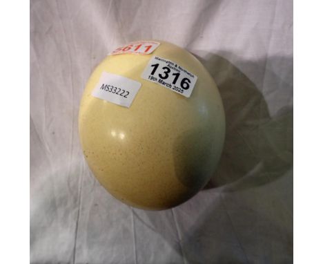 Blown ostrich egg. UK P&amp;P Group 2 (£20+VAT for the first lot and £4+VAT for subsequent lots) 