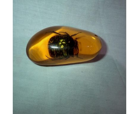 Green beetle preserved in amber tree resin. UK P&amp;P Group 1 (£16+VAT for the first lot and £2+VAT for subsequent lots)&nbs