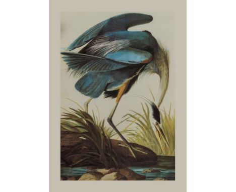 NO RESERVE Birds.- Audubon (John James) The Original Water-Colour Paintings ... for the Birds of America, 2 vol., colour plat