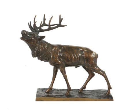 Röhrender Hirsch1. Hälfte 20. Jh., Bronze, patiniert, vollplastische Ausführung, auf Bronzeplinthe montiert, unbez., HxL: ca.