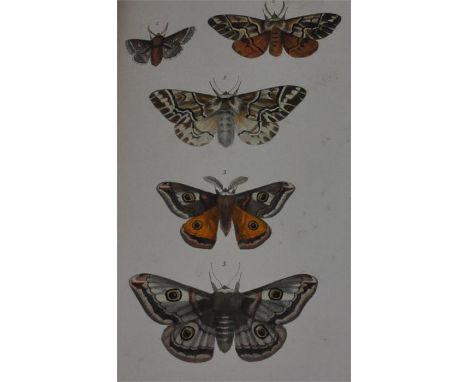 Morris (The Rev. F O), A Natural History of British Moths, Longman, Green, Longman and Roberts, first edition, 1861-63, vols.