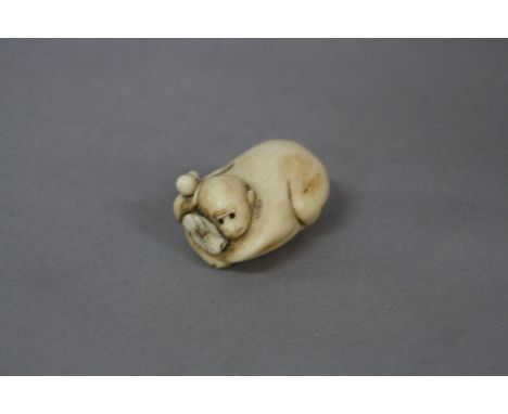 A LATE 19TH CENTURY JAPANESE IVORY NETSUKE, carved as mother and baby monkeys, length approximately 4cm